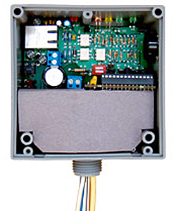 Ethernet RIB RIBTW2401B-ET