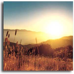 The Sun delivers specific UV wavelengths that destroy and deactivate biological and chemical contaminants.