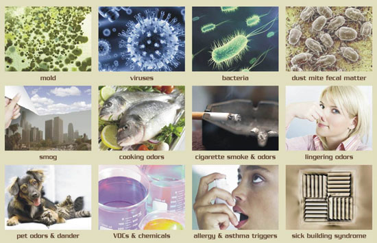 Destroy Contaminants You Inhale
